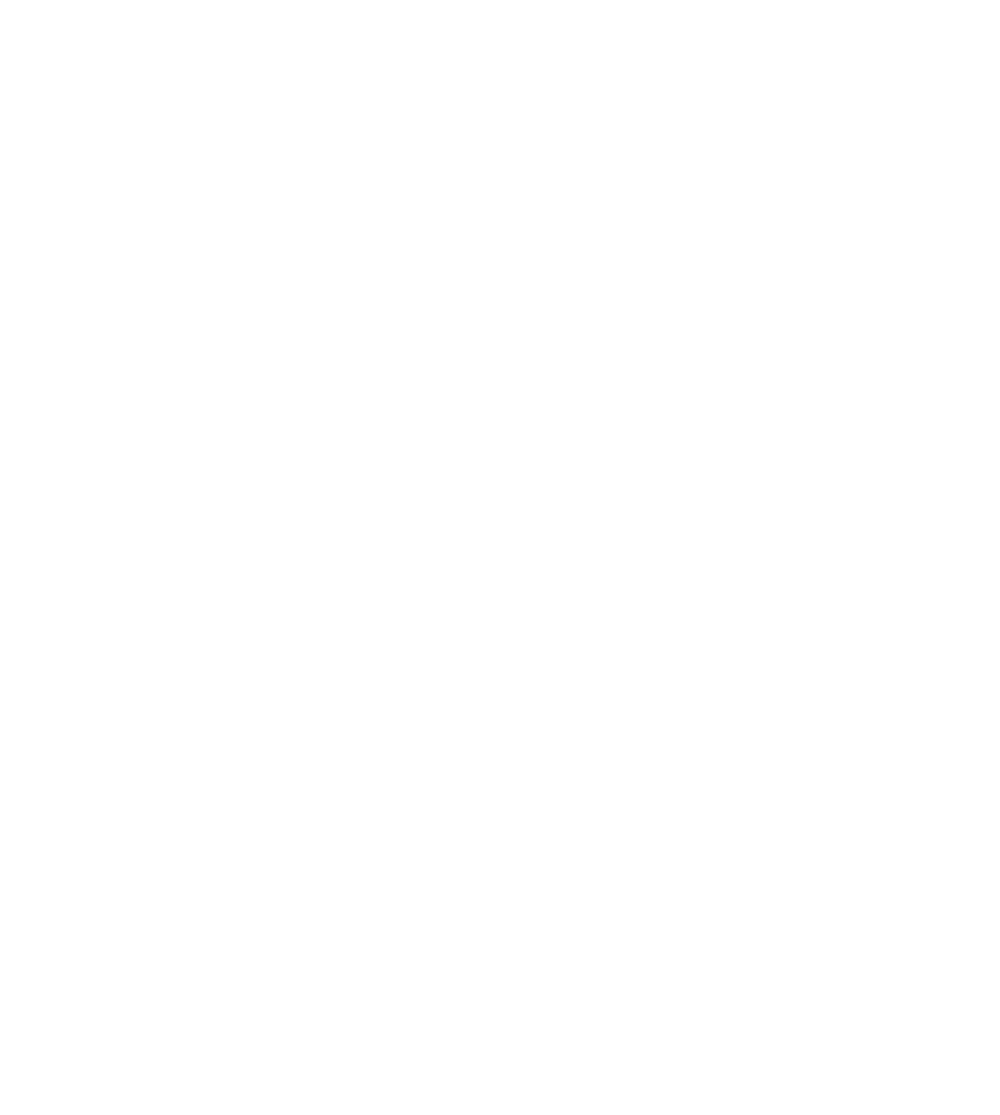 Ayra Logo